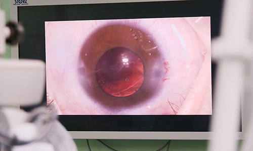 Поставка оборудования в Морозовскую ДГКБ